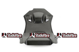 Sotto Codone Piccolo CARBONIO DUCATI Streetfighter 848/1100/1100S