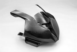 Carena PISTA Completa CARBONIO Scarico Originale (inclusi 12 ganci rapidi) BMW S1000RR - 2010-2014