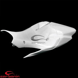 Codino PISTA AVIOFIBRA KAWASAKI ZX10R - 2016-2020